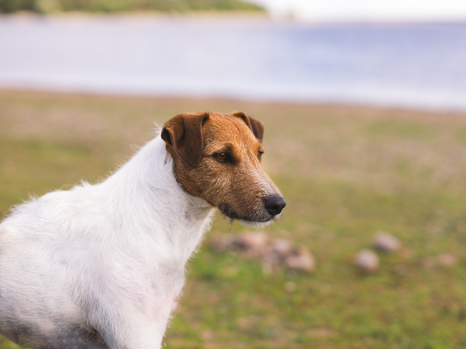 2020_July_Blithfield Reservoir 52548-Edit
