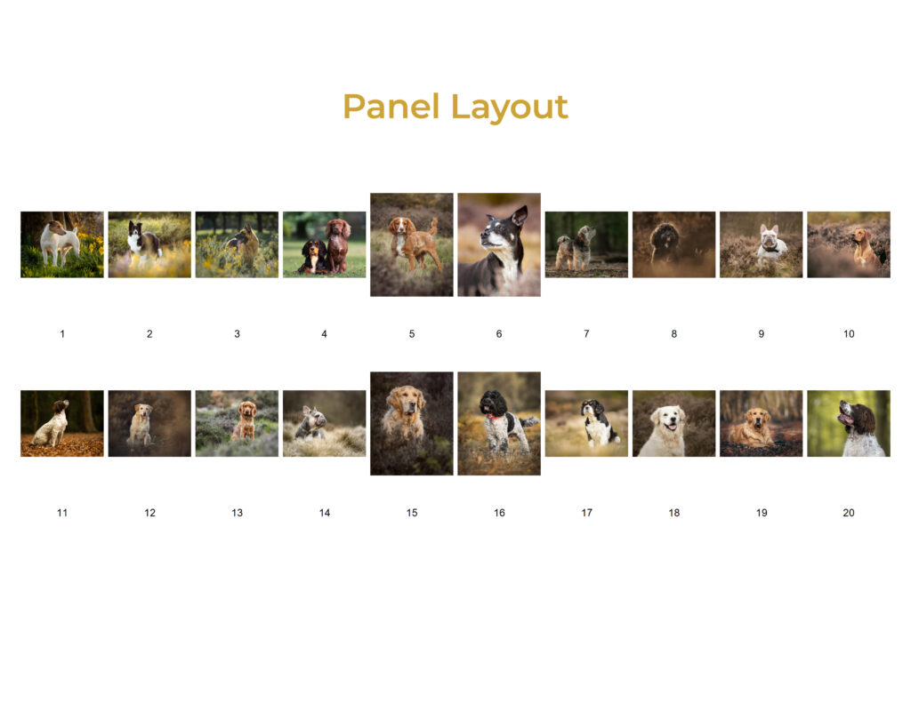 A panel of dog photography images for the award of Master Photographer